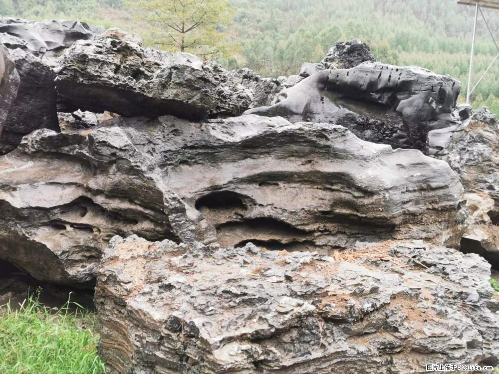 风景石、假山石大量有货，有需要的欢迎联系 - 新手上路 - 西宁生活社区 - 西宁28生活网 xn.28life.net