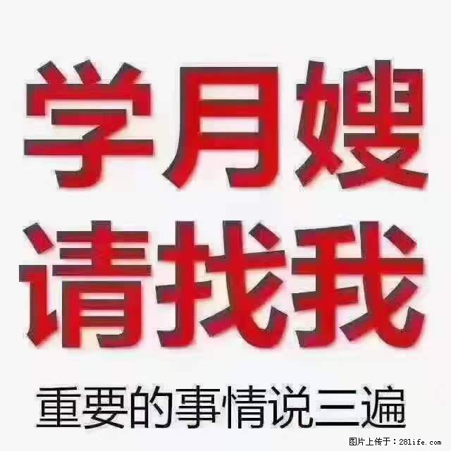 为什么要学习月嫂，育婴师？ - 其他广告 - 广告专区 - 西宁分类信息 - 西宁28生活网 xn.28life.net