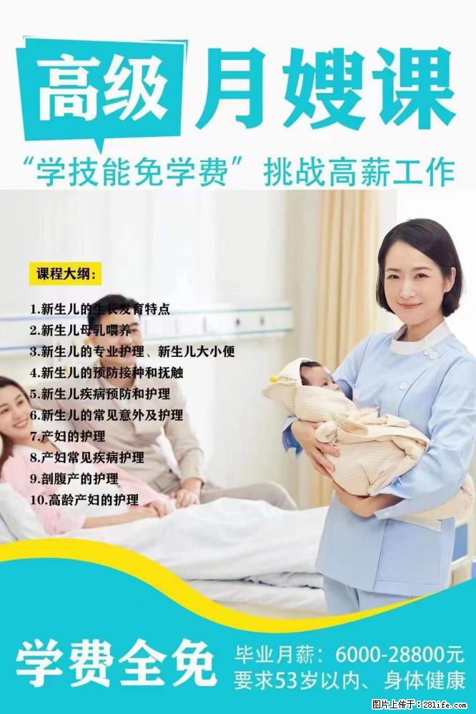 为什么要学习月嫂，育婴师？ - 其他广告 - 广告专区 - 西宁分类信息 - 西宁28生活网 xn.28life.net