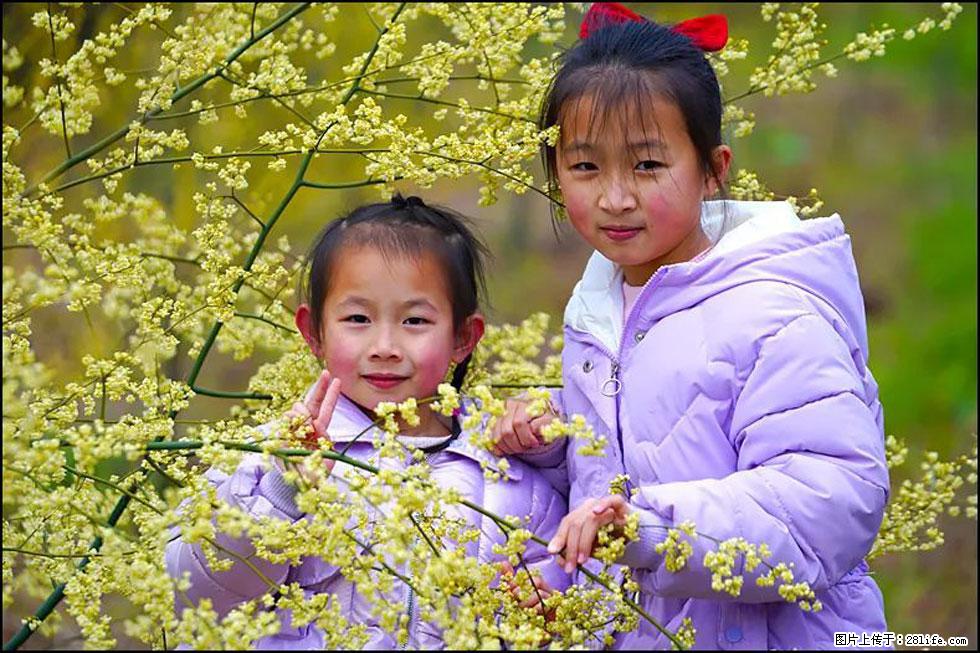 【春天，广西桂林灌阳县向您发出邀请！】米珠山前有片山苍子花在飘香 - 游山玩水 - 西宁生活社区 - 西宁28生活网 xn.28life.net