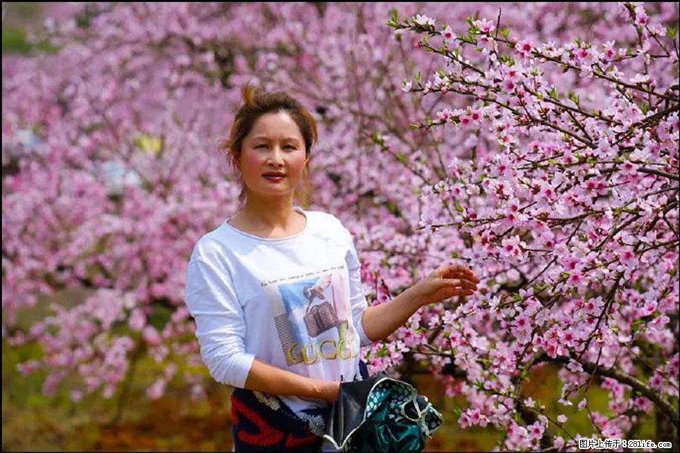 【春天，广西桂林灌阳县向您发出邀请！】官庄村有个醉美的桃花园 - 游山玩水 - 西宁生活社区 - 西宁28生活网 xn.28life.net