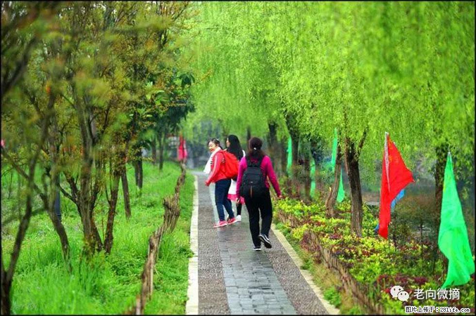 【春天，广西桂林灌阳县向您发出邀请！】江口老街又逢春 - 游山玩水 - 西宁生活社区 - 西宁28生活网 xn.28life.net
