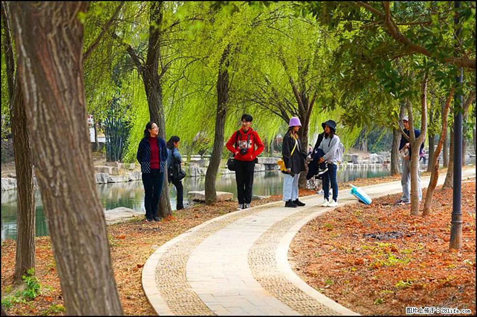 【春天，广西桂林灌阳县向您发出邀请！】江口老街又逢春 - 游山玩水 - 西宁生活社区 - 西宁28生活网 xn.28life.net