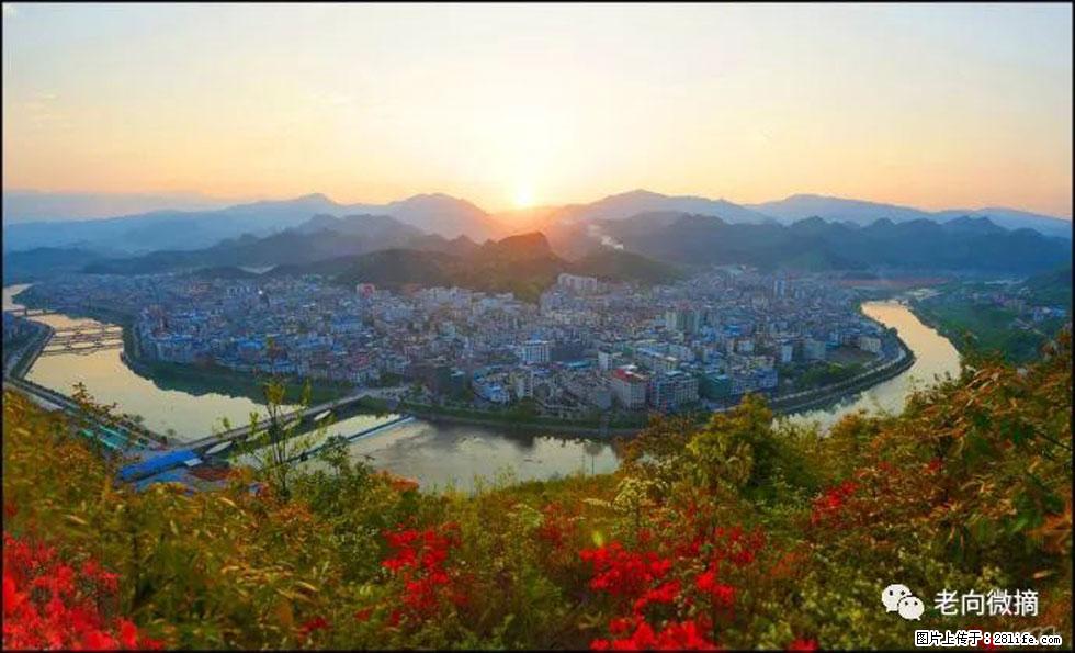 【春天，广西桂林灌阳县向您发出邀请！】登麒麟山，相约映山红 - 游山玩水 - 西宁生活社区 - 西宁28生活网 xn.28life.net