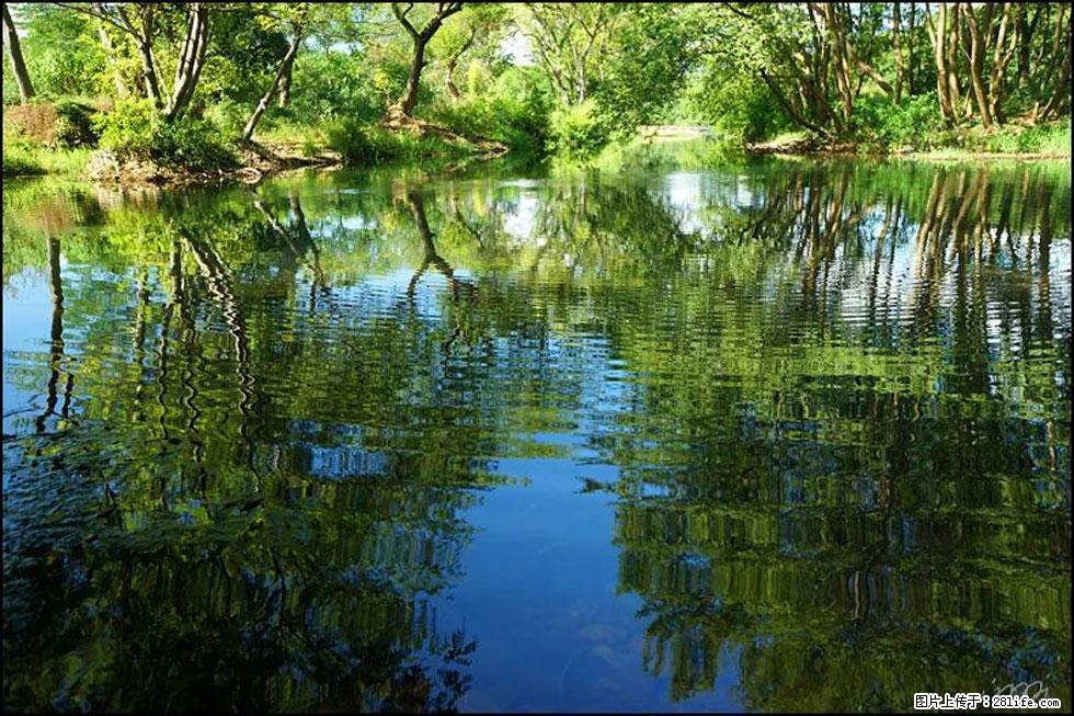 【春天，广西桂林灌阳县向您发出邀请！】熊家寨湿地公园 - 游山玩水 - 西宁生活社区 - 西宁28生活网 xn.28life.net