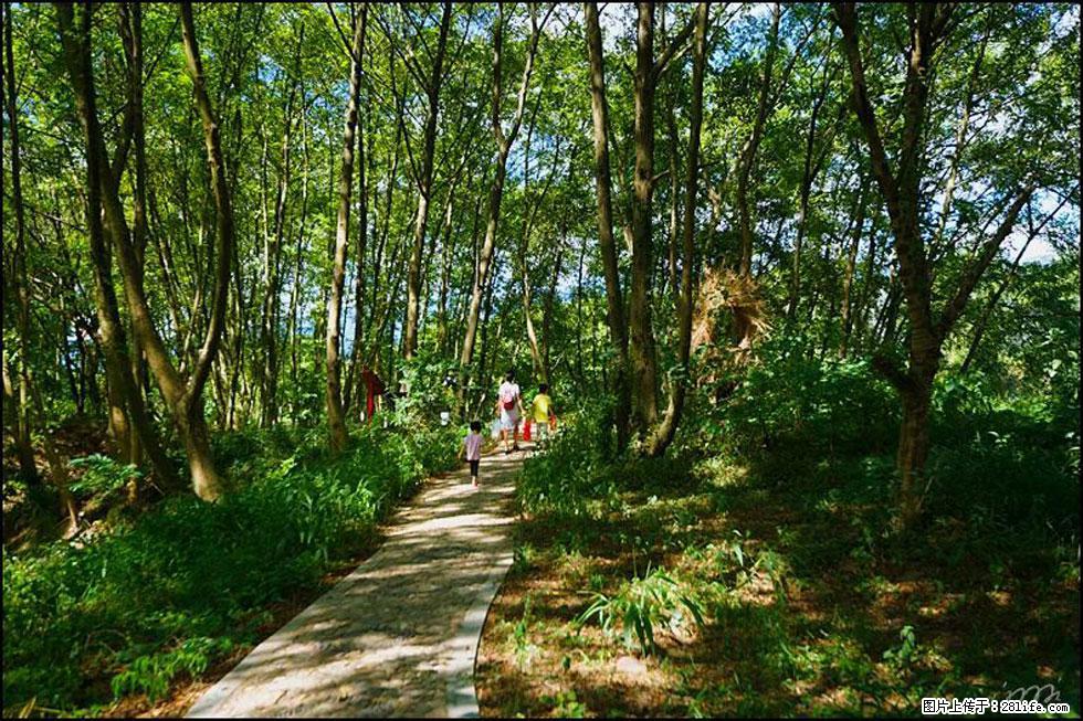 【春天，广西桂林灌阳县向您发出邀请！】熊家寨湿地公园 - 游山玩水 - 西宁生活社区 - 西宁28生活网 xn.28life.net