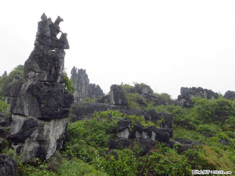 桂林旅游名城景点：灌阳文市石林 - 游山玩水 - 西宁生活社区 - 西宁28生活网 xn.28life.net