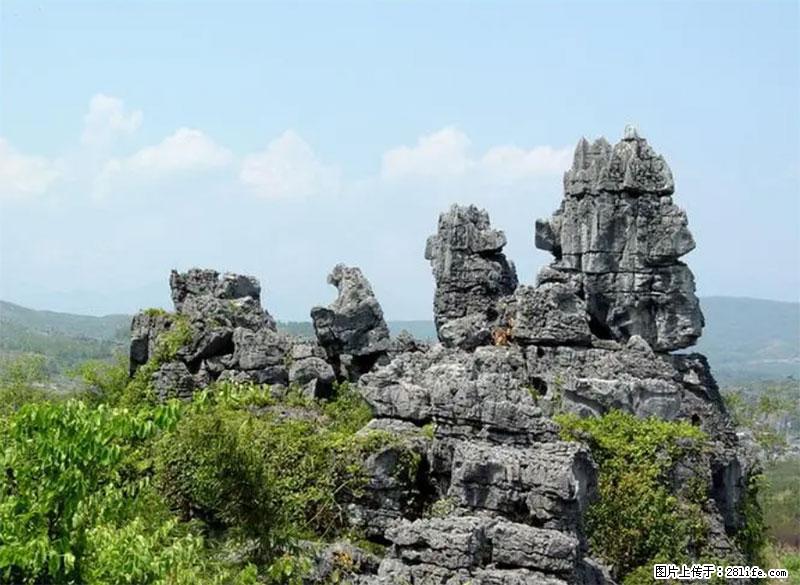 桂林旅游名城景点：灌阳文市石林 - 游山玩水 - 西宁生活社区 - 西宁28生活网 xn.28life.net