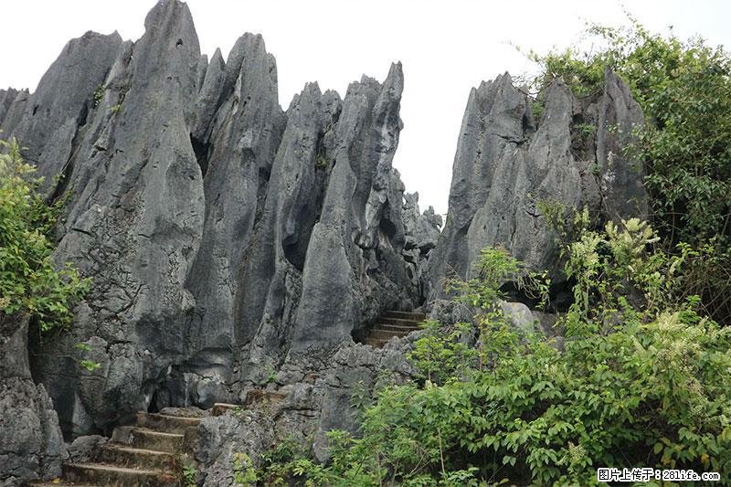 桂林旅游名城景点：灌阳文市石林 - 游山玩水 - 西宁生活社区 - 西宁28生活网 xn.28life.net