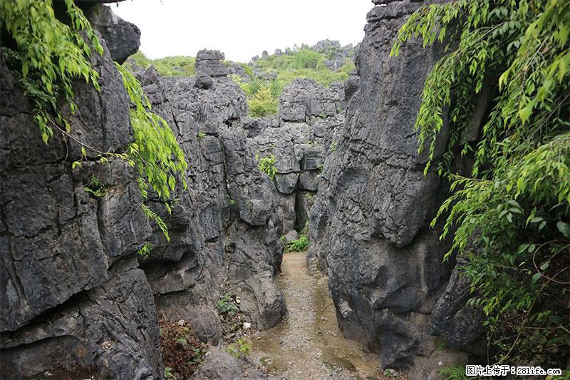 桂林旅游名城景点：灌阳文市石林 - 游山玩水 - 西宁生活社区 - 西宁28生活网 xn.28life.net