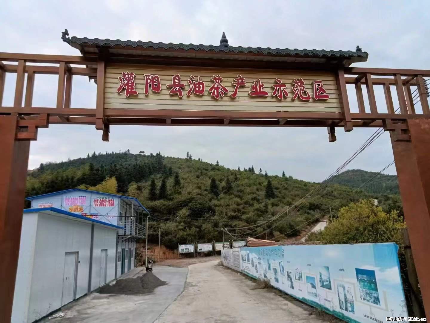 【灌阳县油茶产业示范区】一个有着充实的精神生活的人，对待身外之物自会有一种淡泊的态度 - 美食天地 - 西宁生活社区 - 西宁28生活网 xn.28life.net