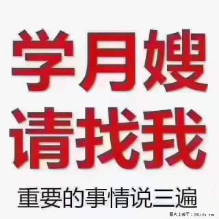 为什么要学习月嫂，育婴师？ - 西宁28生活网 xn.28life.net