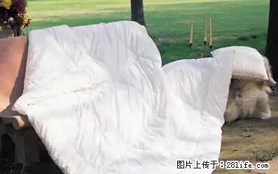 被子有异味？只要这样做，比晒太阳还强100倍！ - 家居生活 - 西宁生活社区 - 西宁28生活网 xn.28life.net