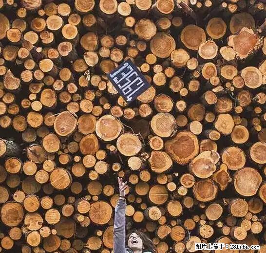 辞掉工作周游世界？现在他们在洗厕所…… - 游山玩水 - 西宁生活社区 - 西宁28生活网 xn.28life.net
