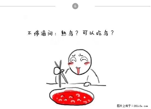 千万不要和这9种哈卵一起吃火锅！ - 美食天地 - 西宁生活社区 - 西宁28生活网 xn.28life.net