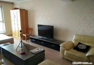 夏都国际正规一室拎包入住新房出租，欢迎垂询 - 西宁28生活网 xn.28life.net