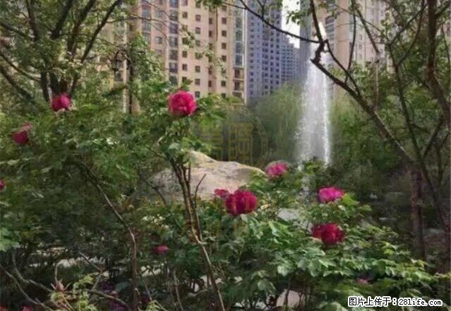 (单间出租)香格里拉花园3室160平豪华装修拎包入住 - 房屋出租 - 房屋租售 - 西宁分类信息 - 西宁28生活网 xn.28life.net
