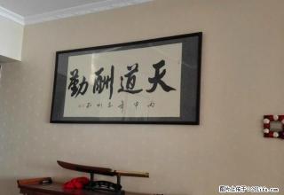 城北朝阳红星美凯龙楼上 办公的好房子来了 - 西宁28生活网 xn.28life.net