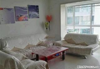 人民公园附近景林佳苑精装修家电家具齐全拎包入住环境好交通方便 - 西宁28生活网 xn.28life.net