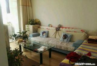 城中区市公安局住宅小区家具齐全拎包入住南北通透 - 西宁28生活网 xn.28life.net