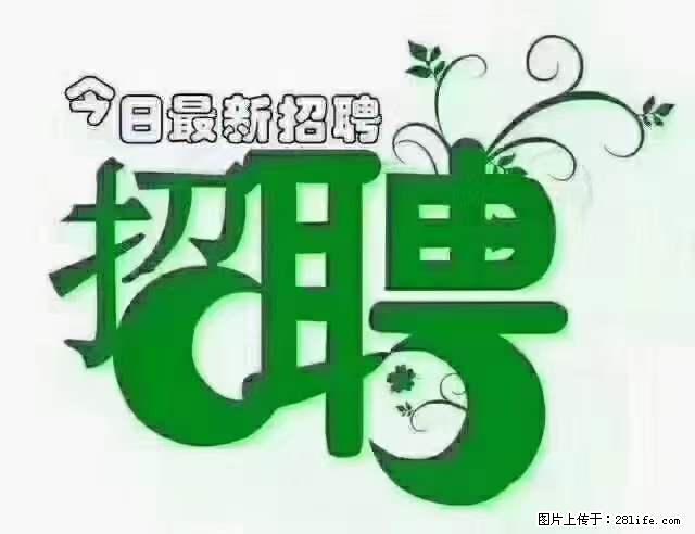 【招聘摄像师】待遇：试用期6000元/月，转正7000元/月+五险一金+餐补+节日福利+奖金 - 其他招聘信息 - 招聘求职 - 西宁分类信息 - 西宁28生活网 xn.28life.net