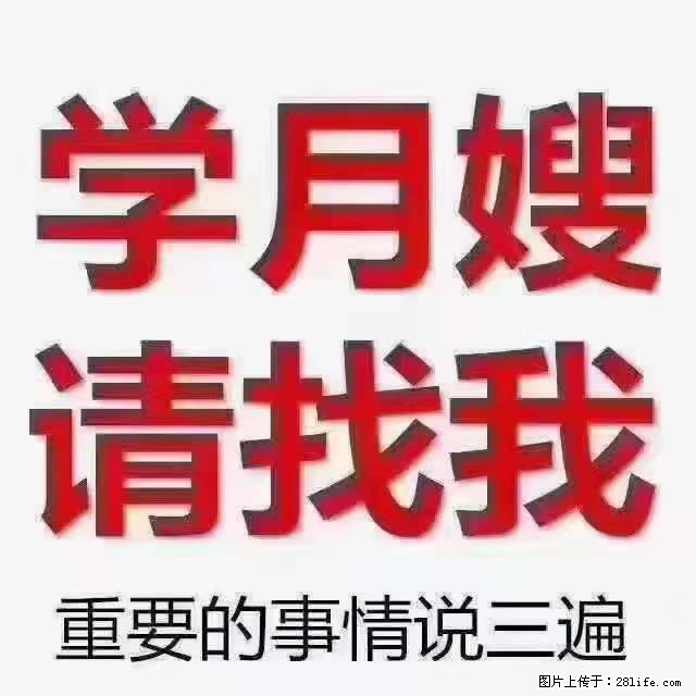 【招聘】月嫂，上海徐汇区 - 职场交流 - 西宁生活社区 - 西宁28生活网 xn.28life.net
