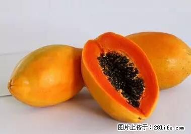 晕车、脚气、牙齿变黄、皮肤粗糙？学会这些三分钟搞定！ - 西宁生活资讯 - 西宁28生活网 xn.28life.net