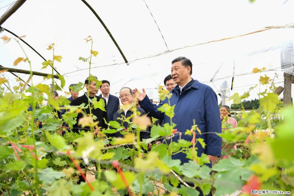 习近平赴广西考察调研 - 西宁生活资讯 - 西宁28生活网 xn.28life.net