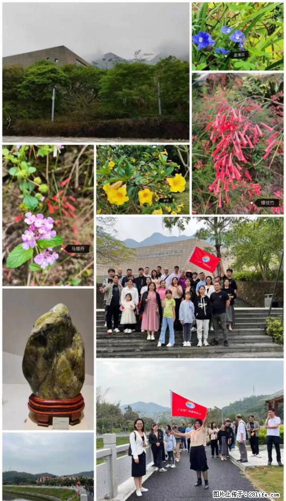 “粤灌文化 美好生活”油茶文化主题活动在广东深圳成功举办 - 西宁生活资讯 - 西宁28生活网 xn.28life.net
