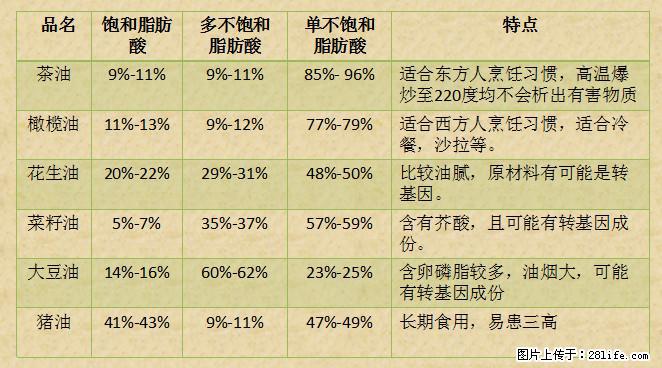 揭秘茶油的5大核心营养成分！被称为人体健康的“守护盾”！ - 西宁生活资讯 - 西宁28生活网 xn.28life.net
