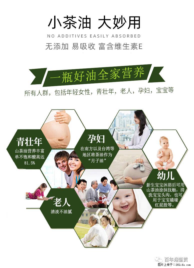 世界没有真相，只有认知，最好的食用油是中国的山茶油！ - 西宁生活资讯 - 西宁28生活网 xn.28life.net