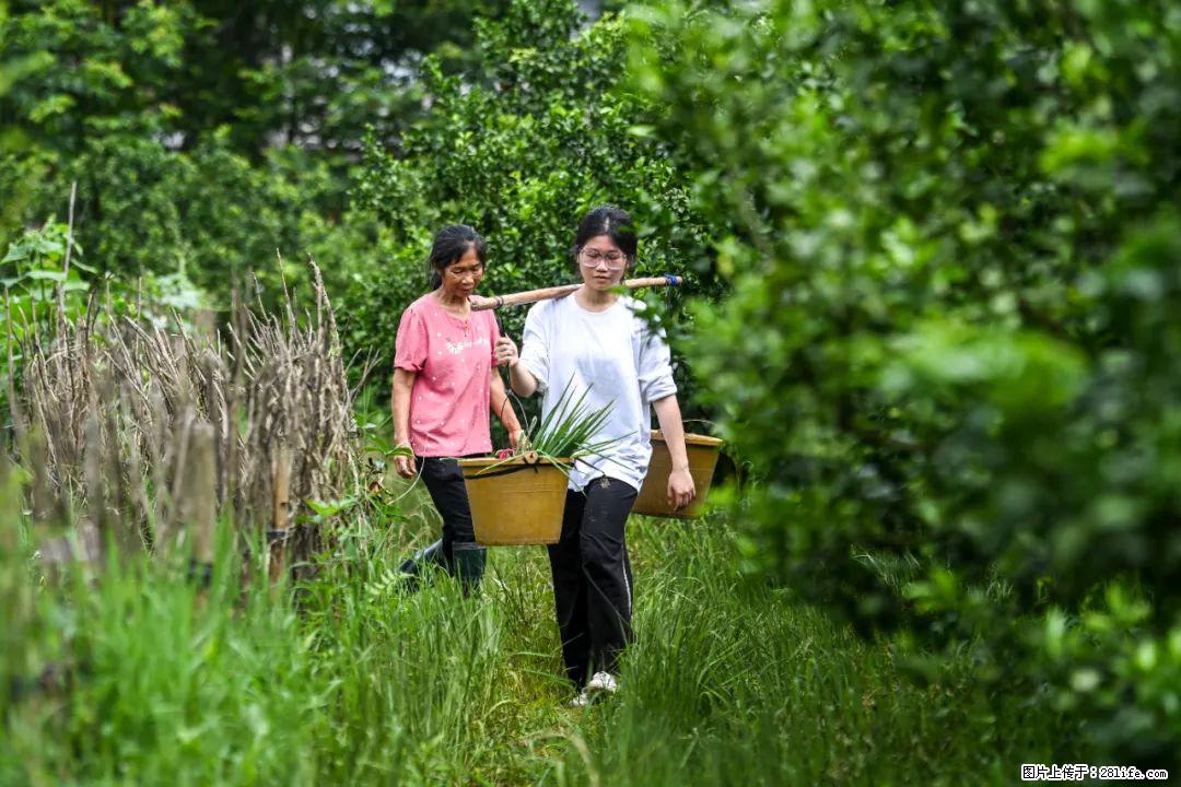 全网追的“扁担女孩”，找了一份暑假工，时薪12元 - 西宁生活资讯 - 西宁28生活网 xn.28life.net