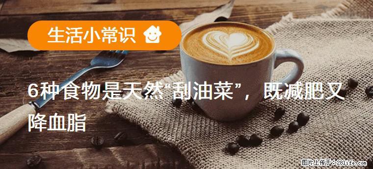 【生活小常识】6种食物是天然“刮油菜”，既减肥又降血脂 - 西宁生活资讯 - 西宁28生活网 xn.28life.net