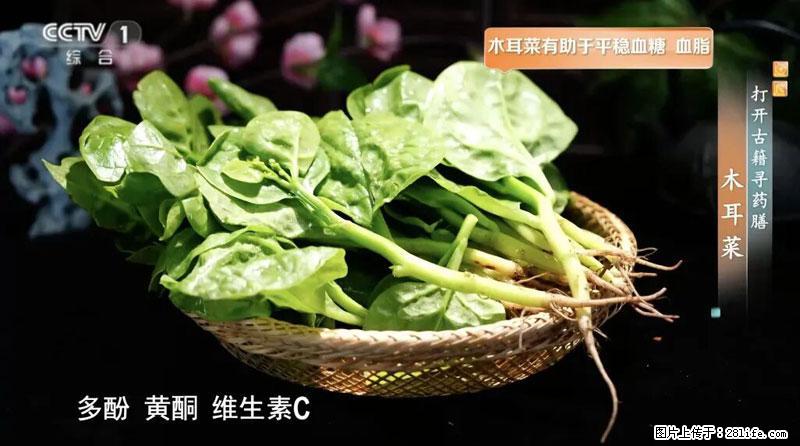 比牛奶补钙还厉害！凉血解毒、稳血糖...这菜冬天必吃，很多人却当草 - 西宁生活资讯 - 西宁28生活网 xn.28life.net