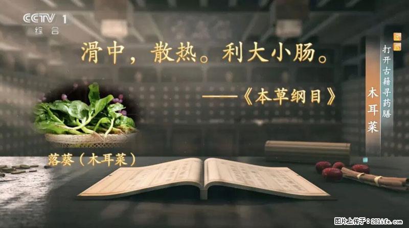 比牛奶补钙还厉害！凉血解毒、稳血糖...这菜冬天必吃，很多人却当草 - 西宁生活资讯 - 西宁28生活网 xn.28life.net