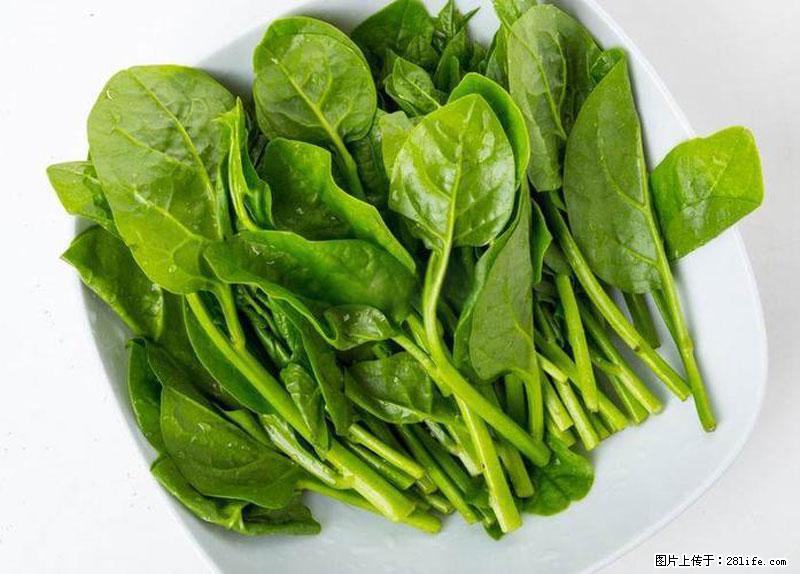 这些蔬菜是“天然钙片”,这6种被医生重点推荐 - 西宁生活资讯 - 西宁28生活网 xn.28life.net