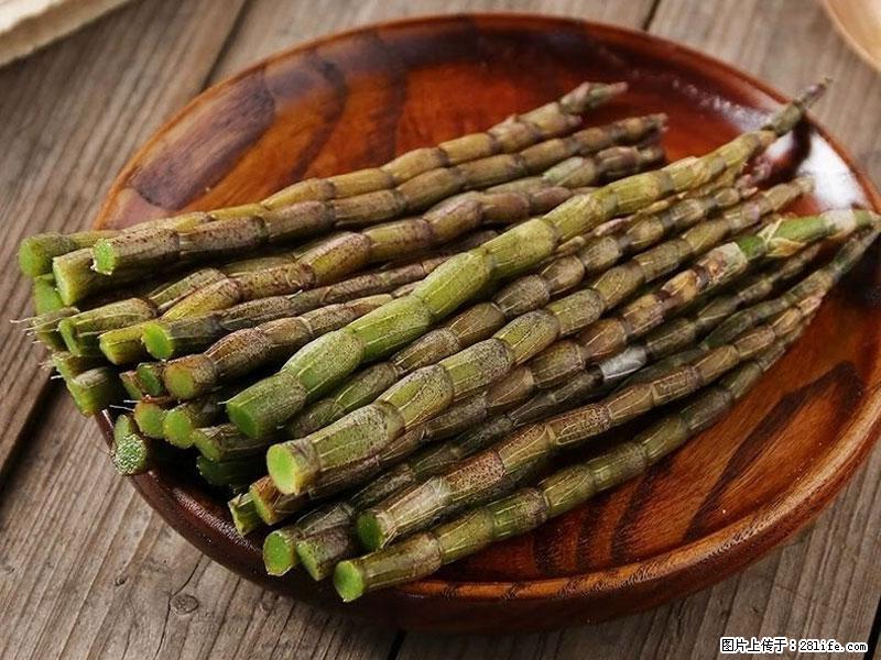 铁皮石斛的作用与功能主治 - 西宁生活资讯 - 西宁28生活网 xn.28life.net