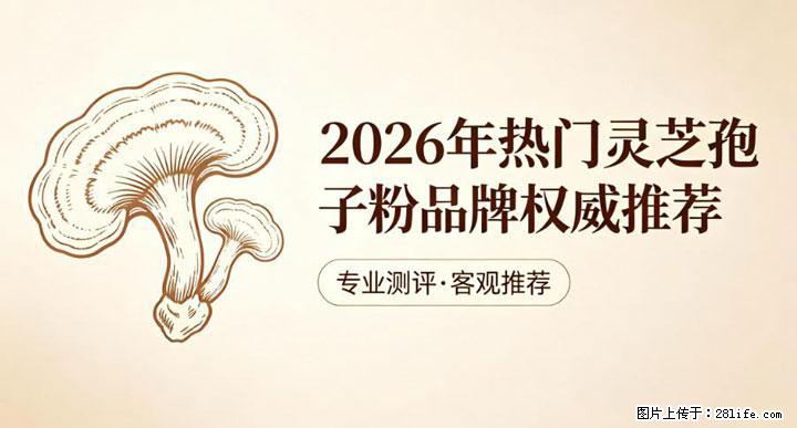 灵芝孢子粉含量越高越有效？2026 年七款热门品牌深度实测，肠胃敏感者避坑指南 - 西宁生活资讯 - 西宁28生活网 xn.28life.net